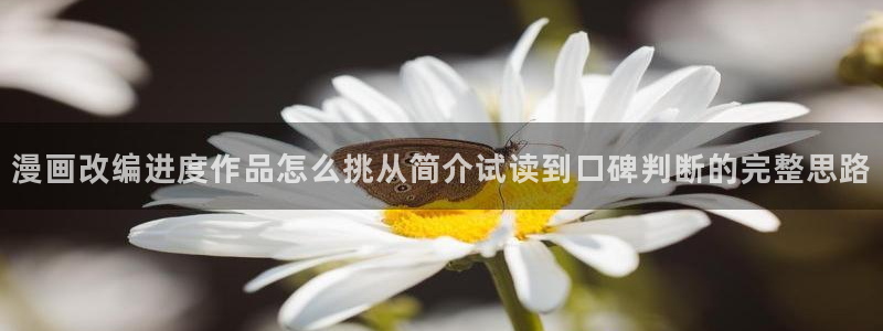 漫蛙网页版:漫画改编进度作品怎么挑从简介试读到口碑判断的完整思路